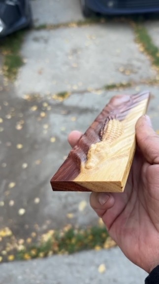 Крокодил из Железного дерева двухцветный