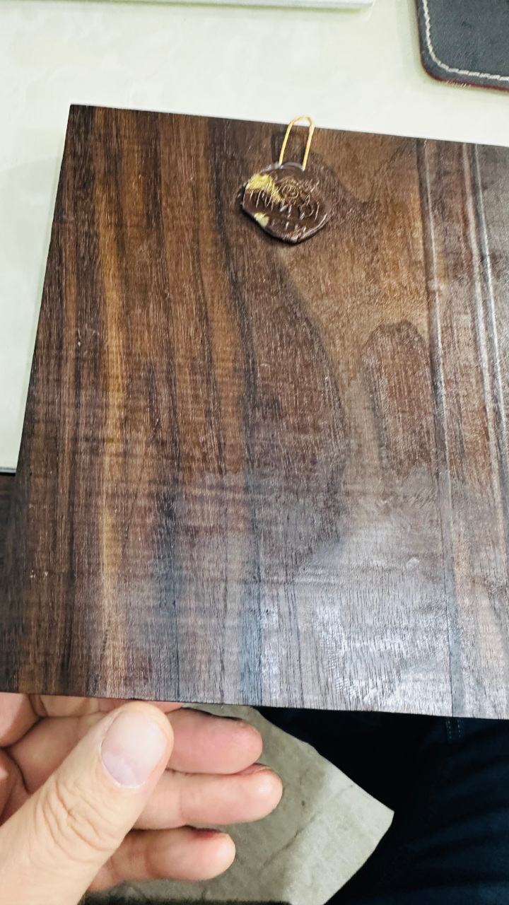 Панно "Скарабей"